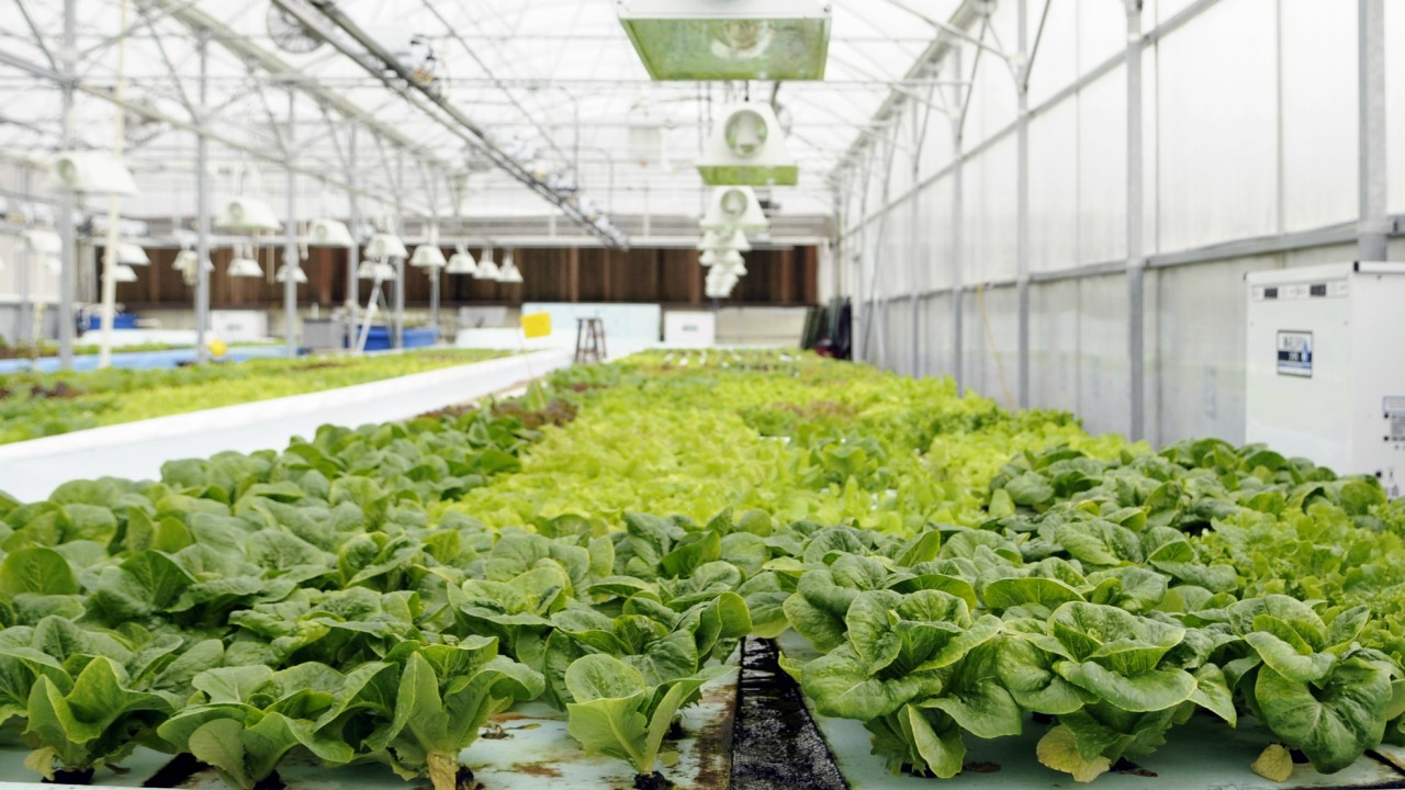 Aquaponics Taking Roots - Stories from Wisconsin