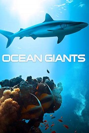 Ocean Giants