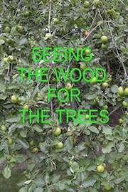 Seeing the Wood For The Trees