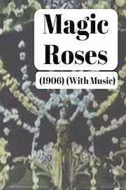 Magic Roses