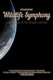 Wildlife Symphony: Under the ocean and the rain-forest