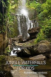 Jungle Waterfalls for Kids