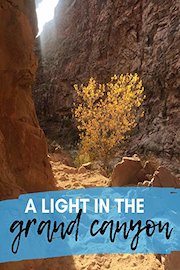 A Light in the Grand Canyon