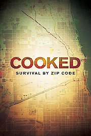 Cooked: Survival by Zip Code