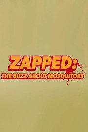 Zapped: The Buzz About Mosquitoes