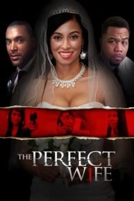 The Perfect Wife