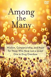 Among The Many: Wisdom, Companionship, and Hope for Those Who Have Lost a Loved One to Drug Overdose