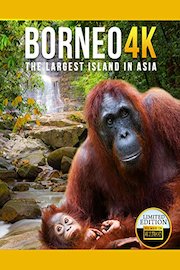 Borneo 4K