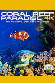 Coral Reef Paradise