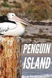 Penguin Island