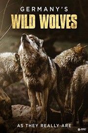 Germany's Wild Wolves - As They Really Are