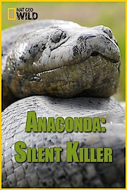 Anaconda: Silent Killer