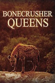 Bonecrusher Queens