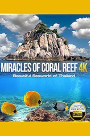 Miracles of Coral Reef