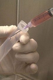 The Stem Cell Revolution, Part 2