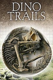 Dino Trails