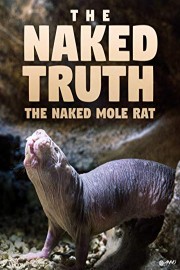 Naked Mole Rats