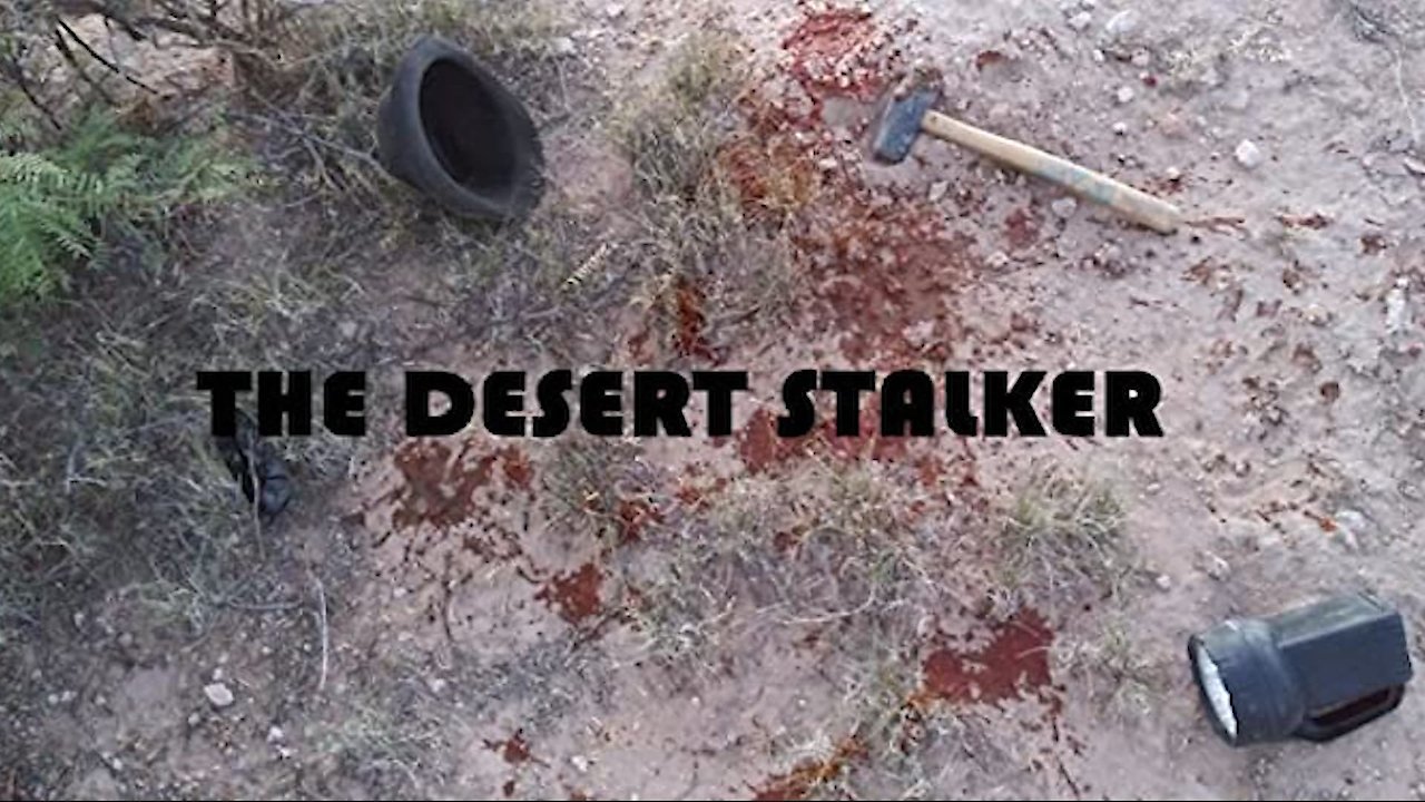 Desert stalker прохождение