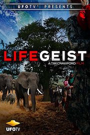 Lifegeist The Movie - Mystery, Chaos & Wonder