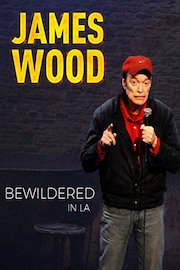 James Wood: Bewildered in LA