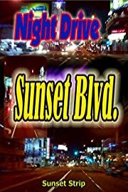 Night Drive: Sunset Blvd. in Los Angele