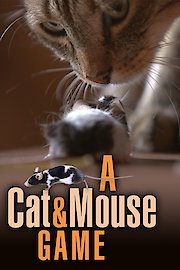 A Cat and Mouse Game