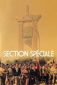 Special Section