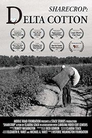 Sharecrop: Delta Cotton