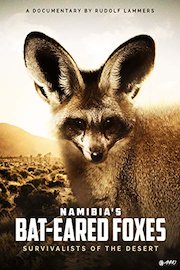 Namibia's Bat-Eared Foxes