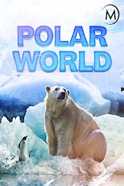 Polar World