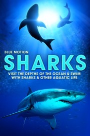 Sharks: Visit the Depths of the Ocean and Swim with Sharks and Other Aquatic Life