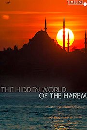Hidden World Of The Harem