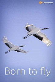 Born to Fly