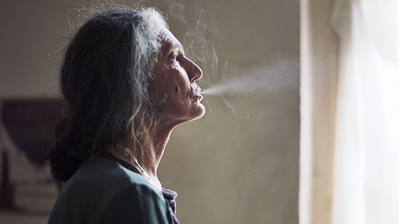 The Disappearance Of My Mother