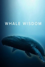 Whale Wisdom