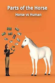 Parts of the Horse - Horse vs Human