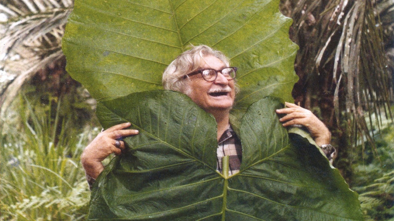 Landscape Film: Roberto Burle Marx