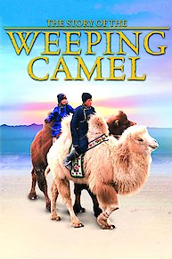 The Story of the Weeping Camel