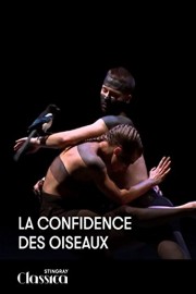 La confidence des oiseaux