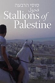 Stallions of Palestine