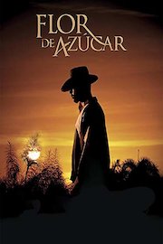 Flor de Azúcar
