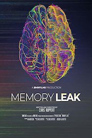Memory Leak