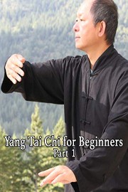 Yang Tai Chi for Beginners Part 1