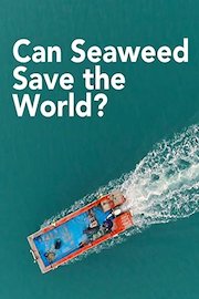 Can Seaweed Save the World?
