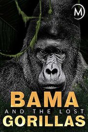 Bama and the Lost Gorillas
