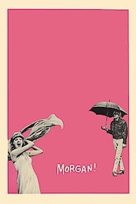 Morgan!