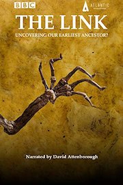 The Link: Uncovering our Earliest Ancestor?