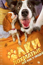 Paws, Bones and Rock and Roll