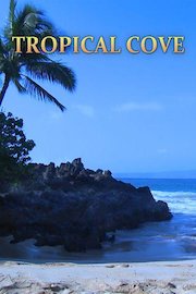 Tropical Cove