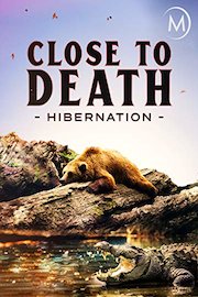 Close to Death: Hibernation